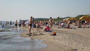 Melnragė