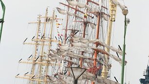 Dydisis &bdquo;Sedov&ldquo; įsikūrė  &bdquo;Memelio mieste&ldquo;. 