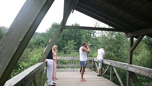 Kormoranai lizdus suka vis giliau į Sengirę. Į apžvalgos aikštelę užkopę turistai lieka nieko nepešę – sutikti galima vos vieną kitą paukštį. 