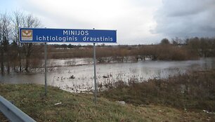 I&scaron;siliejusi Minija