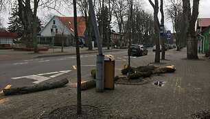 Palanga penktadienį tvarkosi audros pridarytus nuostolius