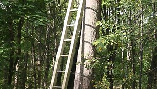 Baigiama įrengti laipynių parką