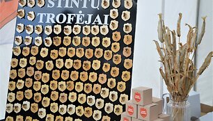 Palangoje jau &scaron;urmuliuoja Stintų &scaron;ventė. &Scaron;iemet ji sugrįžta po dviejų metų pertraukos.