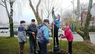 Šeštadienį palangiškiai drauge sodino medelius, tačiau tą pačią naktį keli medeliai buvo išlaužti. 