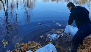 Kretingos rajone įžuvinti šeši tvekiniai