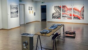 Liepą Palangoje vyko Lietuvos dailininkų sąjungos organizuotas menininkų pleneras