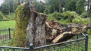 Vėjo neatlaikė saugotinu laikytas Salantų ka&scaron;tonas