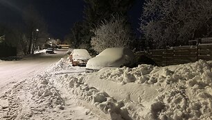 Sniegas Klaipėdos rajone