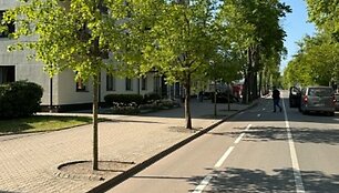 Palangoje atsiėrusi smeguobė