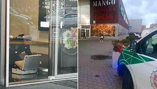 Incidentas Klaipėdos &bdquo;Akropolyje&ldquo;