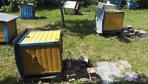 Vandalai Mickų kaime i&scaron;vartė devynis avilius