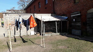 Voljeras, kuriame buvo laikomas &scaron;uo, gyvūnų specialistams pasirodė nepatikimas.