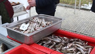 Audringa jūra pristabdė stintų žvejus: kilogramas kainavo ir 13 eurų