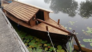 Tradicinių ir istorinių laivų paradas „Dangės flotilė“ pristato  jūrinę Lietuvos kultūrą ir tradicijas. 