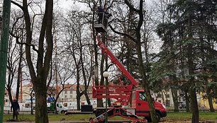 Danės skvere užvirė pirmieji darbai. Gyventojai piktinasi dėl kertamų medžių. 