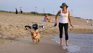 &Scaron;iuo metu nė viename pajūrio kurorte, taip pat ir uostamiestyje, nėra paplūdimio, kur galima užsukti su keturkojais. Daugelis &scaron;unimis vedinų poilsiautojų čia ateina tikėdamiesi nebūti užklupti tvarkos sergėtojų.