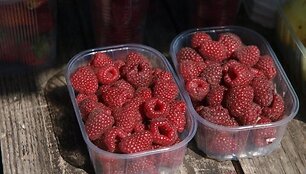 Avietės.