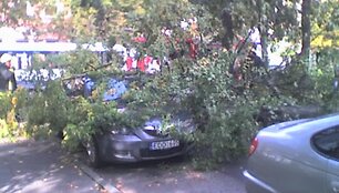Klaipėdoje medis užvirto ant automobilio.