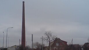 Plytinės bok&scaron;tas