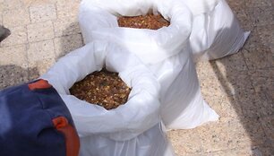 Pajūryje i&scaron;barstyti 53 kg gintaro.