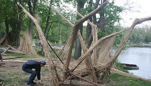 Kiekvienam skulptoriui buvo skirta 20 glėbių nendrių.