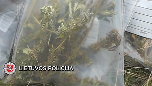 Klaipėdietis buvo pasirūpinęs visa reikiama įranga kanapių auginimui.
