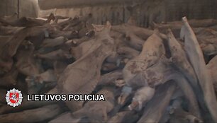 Tyrimo duomenimis, importuota mėsa nebuvo tinkama vartoti žmonėms, tačiau ja buvo prekiaujama.