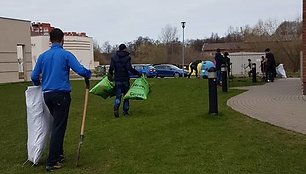 Ties LCC universitetu buvo pasodinta apie 800 pušelių, o prigijo viena.