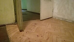 Bangų g.namas, kur įvyko nusikaltimas