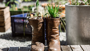 Kultūros fabriko terasoje užgimęs „Urban Garden“ –  miesto sodas.