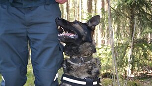 Policijos &scaron;uo Hardas