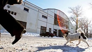 Koks likimas laukia svarbiausius klientus prarasiančios Kauno sporto halės, turėtų paaiškėti dar šiais metais. 