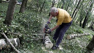Per Kauną praūžusią gamtos stichiją iki &scaron;iol primena &scaron;alikelėse bei parkuose gulinčios &scaron;akų krūvos, riogsantys nupjautų medžių kelmai bei apgriauti kauniečių namai. Nors miestą tvarkančios įmonės Kaune plu&scaron;a jau 10 dienų, darbų pabaigos dar nematyti. &bdquo;Turime sau i&scaron;kelti tikslą visas &scaron;alikelėse gulin