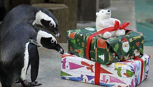 Hanoverio zoologijos sodas
