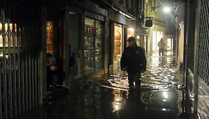 Patvinusi Venecija