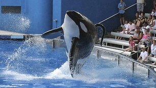 Vandens pramogų parkas &bdquo;SeaWorld&ldquo;