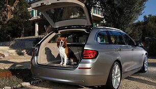 &bdquo;Bmw 5 series Touring&ldquo;