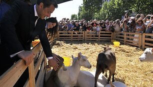 Eliziejaus laukuose milžini&scaron;kas ūkis