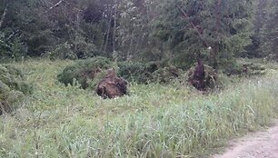 Audros padariniai
