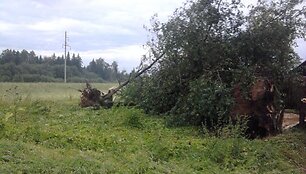 Audros padariniai
