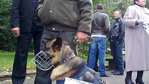 Bado akcija