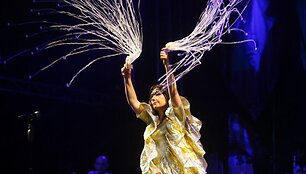 Foto naujienai: Bj&ouml;rk koncertas &ndash; įspūdingas spektaklis
