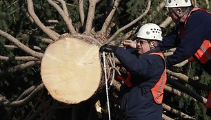 Kalėdinės eglės įkurdinimas ties Vašingtono Kongresų rūmais