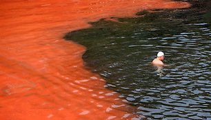 Paplūdimių vanduo nusidažė neįprasta spalva