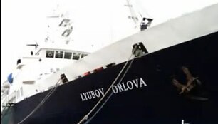 Laivas