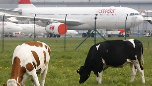 „Swiss International Airlines“ lėktuvas