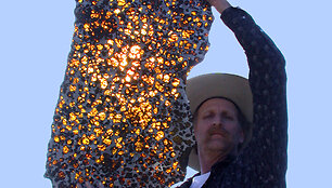Fukango meteoritą perskėlus perpus atsivėrė kerintys vaizdai: uolos viduje, sidabri&scaron;kuose nikelio-geležies koriuose slypėjo pusiau skaidrūs auksu spindintys kristalai, susidarę i&scaron; mineralo, vadinamo olivinu. 
