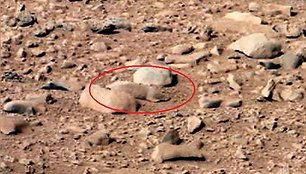 „Curiosity“ nuotraukoje iš Marso įdėmūs internautai pastebėjo jūrų kiaulytę primenantį objektą.