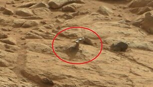 &bdquo;Curiosity&ldquo; Marse nufotografavo koralą primenantį objektą