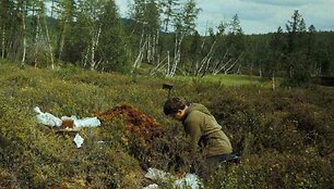 Rusijos tyrėjas Andrejus Zlobinas 1988 metais vykusios ekspedicijos metu Tunguskos incidento apylinkėse surinko per &scaron;imtą akmenų, kurie atrodė kaip meteoritai.